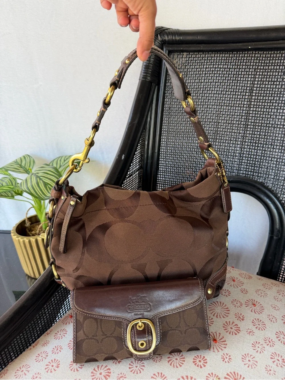 Coach stylish brown